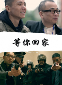 金梅瓶1一5集免费